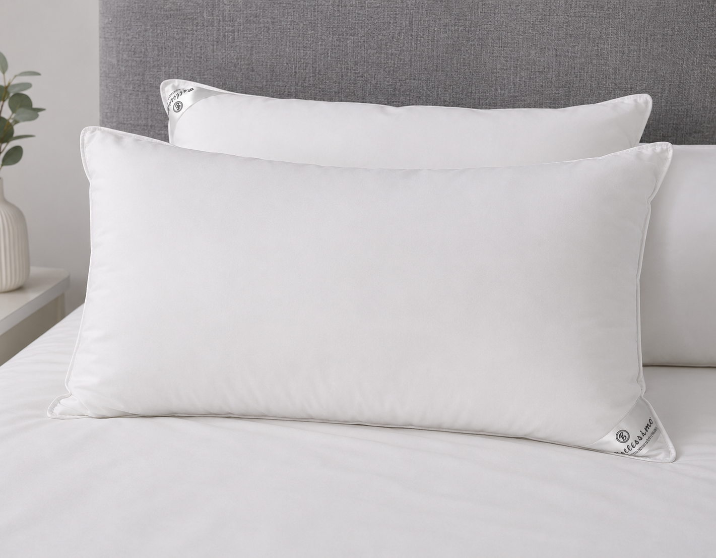 Box of 5 Silk Microfibre Pillow Pair
